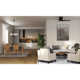 Reyka 44'' 3 Blade Ceiling Fan with LED Light Kit
