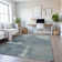 Premium Machine Washable Elize AMF1354 Modern Rug