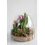  Terrarium en verre géant