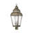 Arelene Lantern Head-76790907
