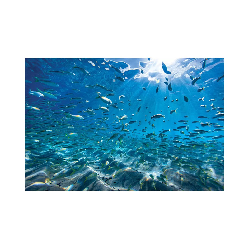 Back To School by Sean Davey - Wrapped Canvas Gallery-Wrapped Canvas Giclée, 20.32 cm H x 30.48 cm W