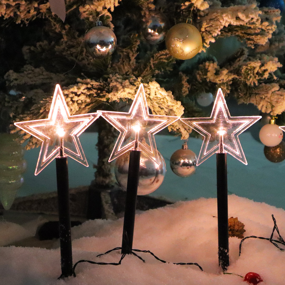 Solar Powered Luminary & Pathway Lights The Holiday Aisle®