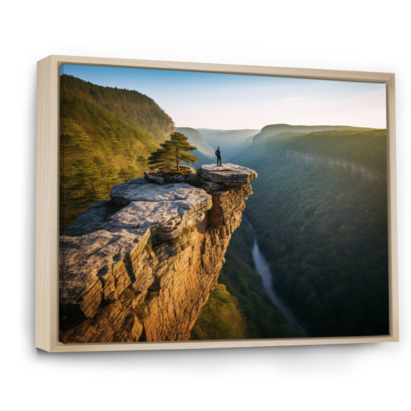 Arkansas Whitaker Point I - art mural grand Arkansas, H 12 po x l 20 po x P 1 po, Cadre naturel flottant