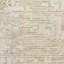 Tapis d'intérieur moderne crème ivoire 7 pi 10 po x 10 pi 2 po Calvin Klein CK078-124288073