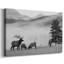 Toile tendue Mountain-336833096