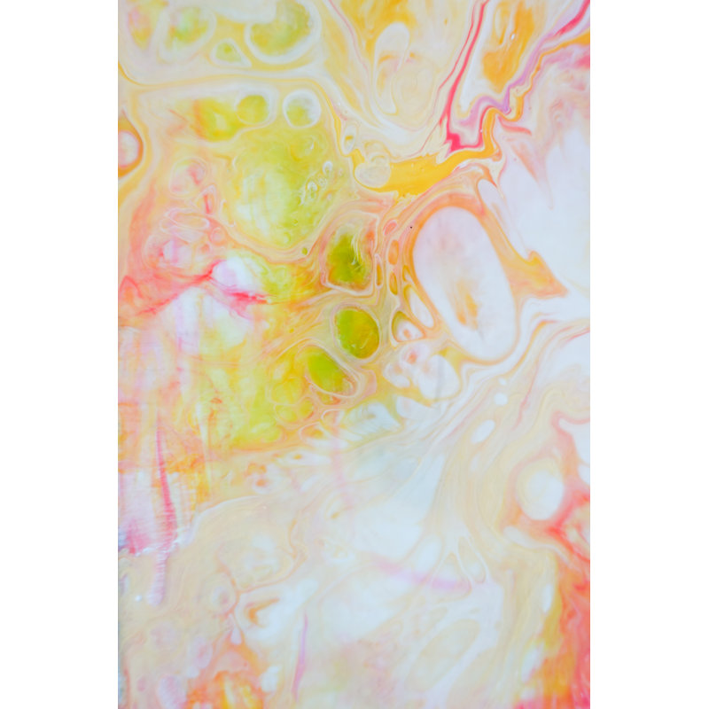 'Sweet Orange' - Wrapped Canvas Painting Print