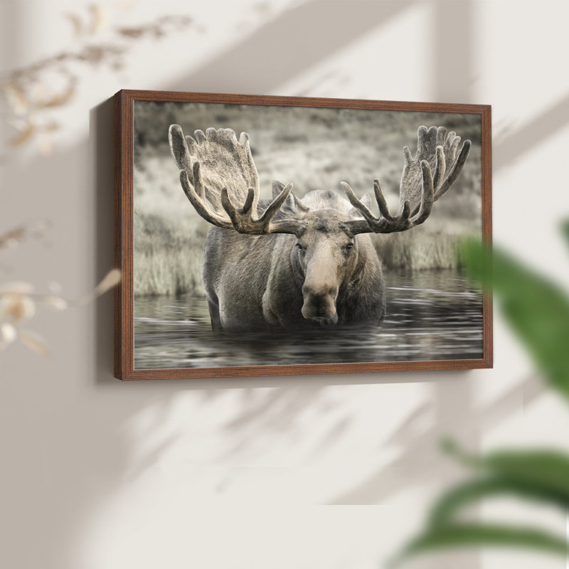 Moose Hot Springs - reproduction encadrée - réarmable, H 8 po x l 10 po, Noyer