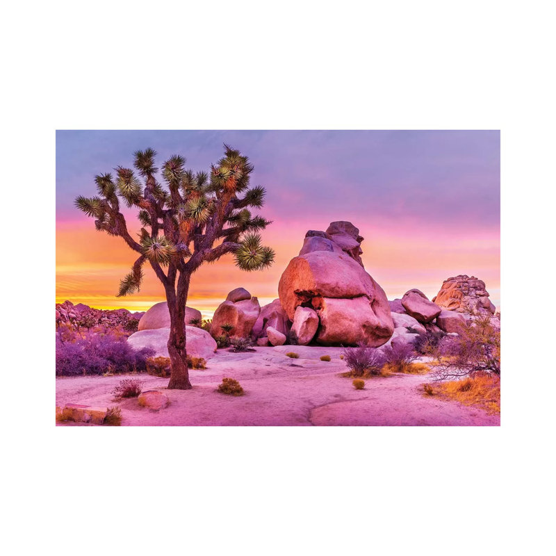 Joshua Tree National Park X par Susanne Kremer - Photographie sur toile tendue, H 18 po x l 26 po x P 1,5 po