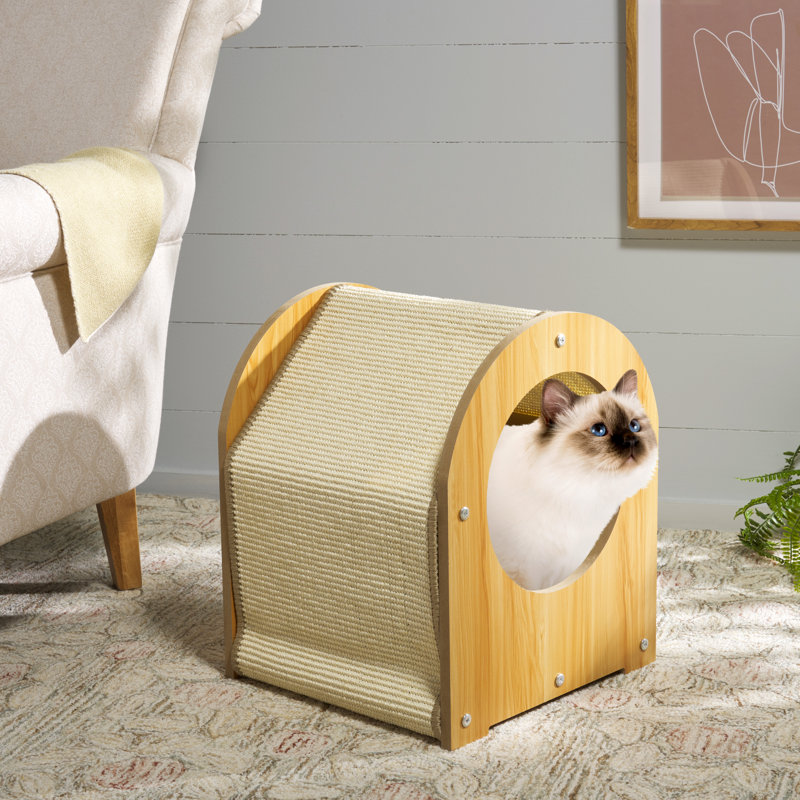 Chat à gratter