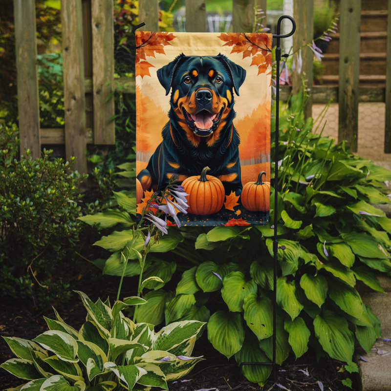Double Sided 15.5'' H x 11.25'' W Polyester Garden Flag