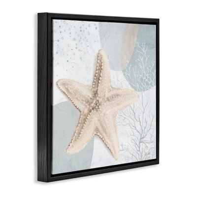 «Starfish over Circle», art mural encadré flottant par Patricia Pinto