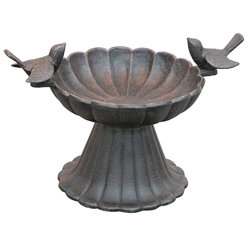 Bain d'oiseaux de table jihane