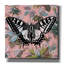 «Butterfly papier peint carré» par Dean Russo, art mural sur toile-1911147516