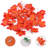 Birgit 0.5' Outdoor LED Battery Powered 1 Novelty String Light