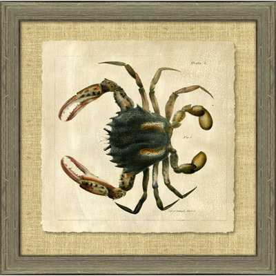 Antique Crackled Crab I Painting