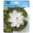  Aquagarden 5.5 in. Floating Lily Pad