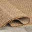  Cathryn Modern Indoor/Outdoor Area Rug-1646886872