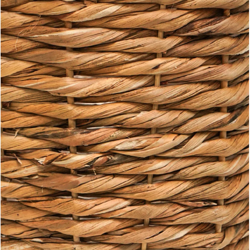 Plant Stand