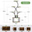 Plant Stand