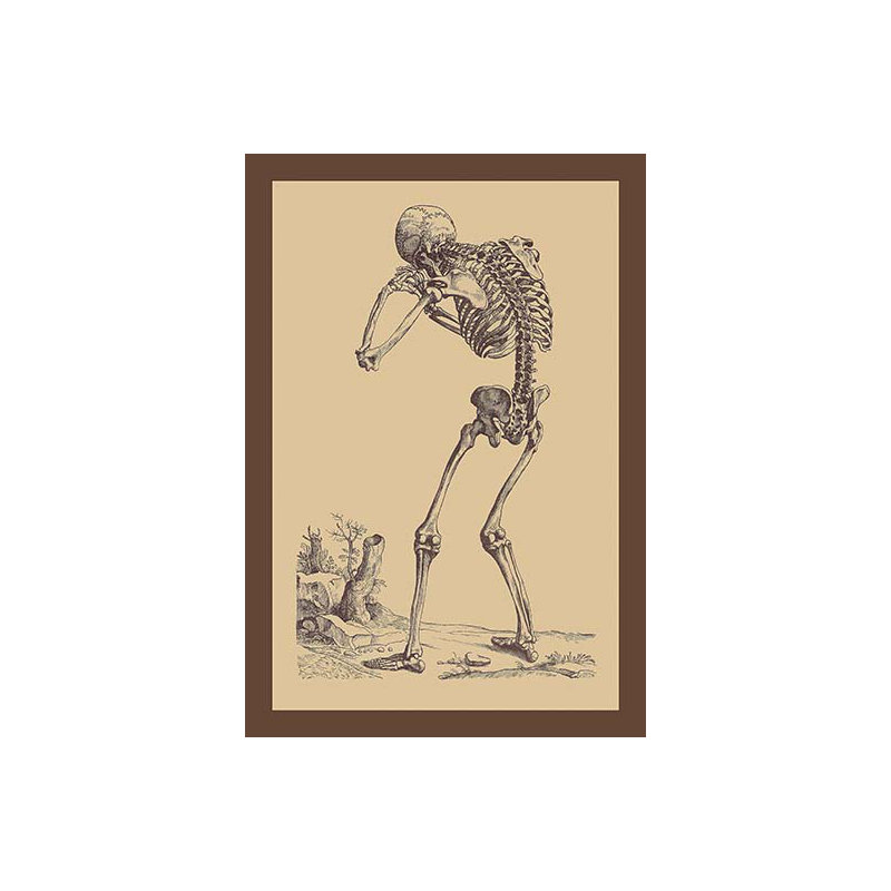 « pliage squelette » par andreas vesalius, impression encadrée