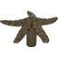 Starfish 2" Length Novelty Knob-387929520