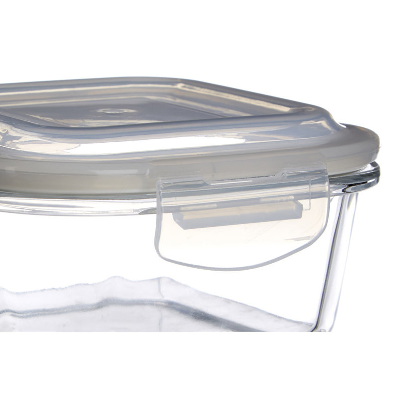 Rosston 17.6ml Glass Food Storage Container