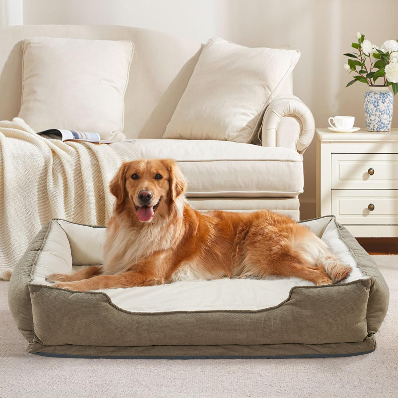 Polyester Pet Bed, 27.9cm H x 88.9cm W x 121.9cm D