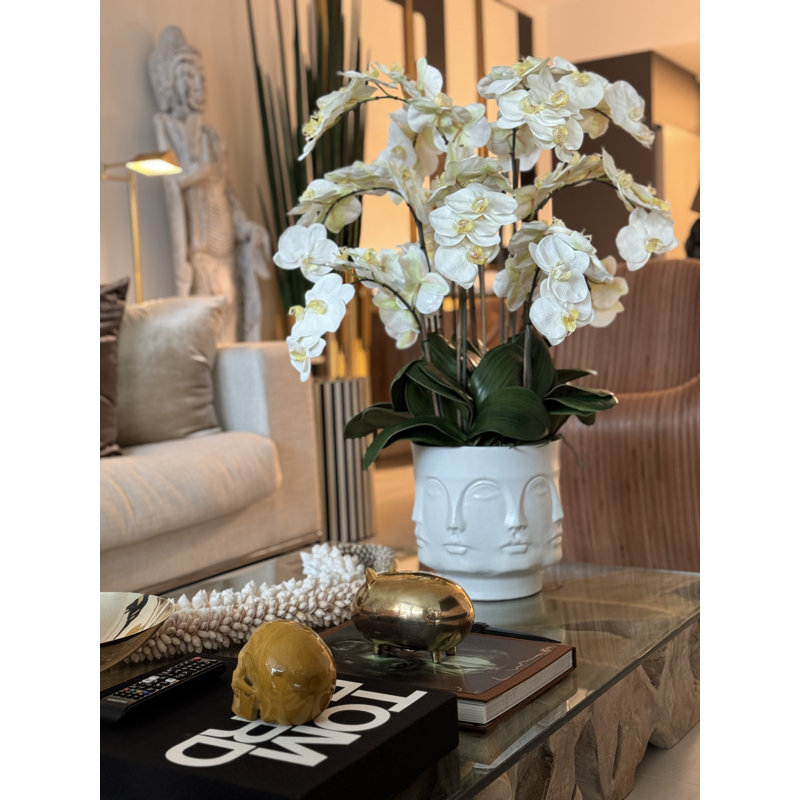Matte Visage Vase With White Orchids