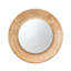 Metal Flat Wall Mirror