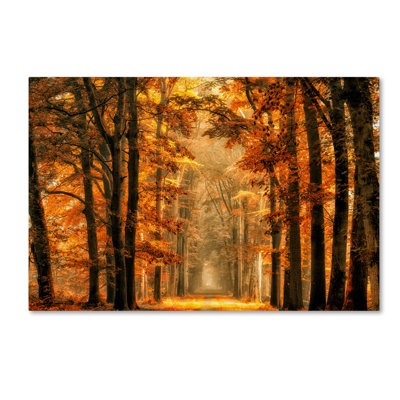 « exit the portal », reproduction de photo sur toile tendue