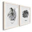 B&W d'intérieur plante I - ensemble de 2 reproductions de dessins-728781693-728781680