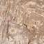 Brittany Coffee Table Natural-510692655