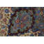 Tapis traditionnel en soie 10 x 13