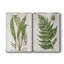 «Greenhouse Fern» - Toile tendue avec châssis de qualité supérieure - Prêt à être accroché-108969812