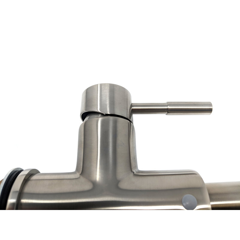 AGUA CANADA Mateo Pull Out Kitchen Faucet, Brushed Nickel