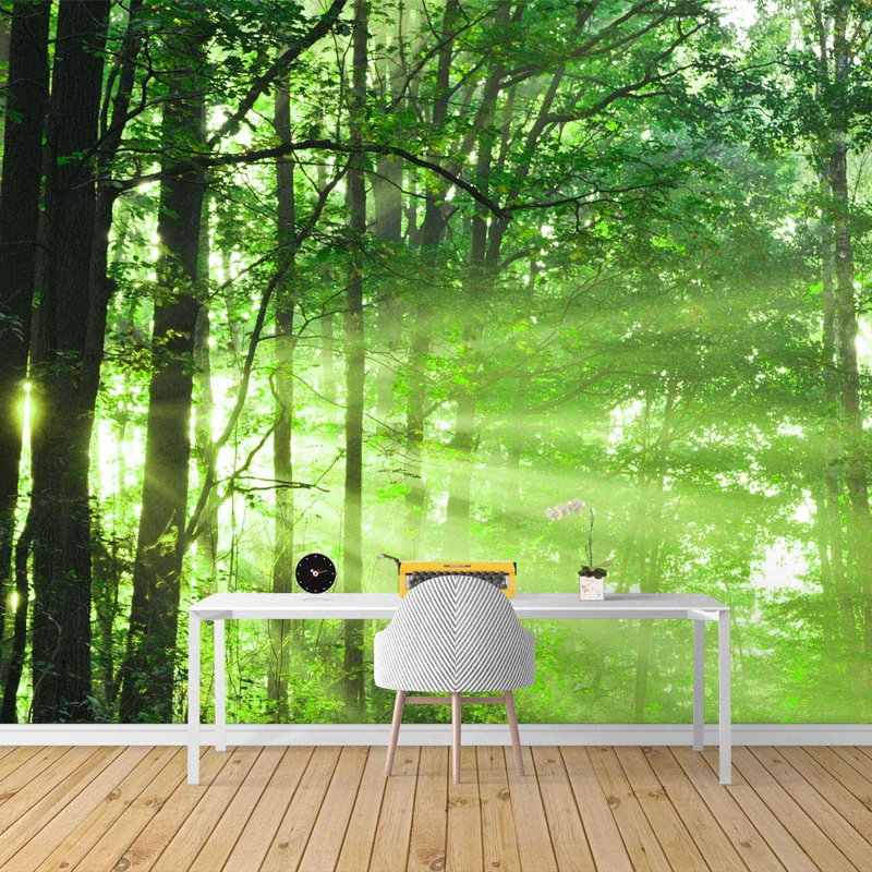 Forest Nature Landscape Peel & Stick Border, 100" L x 144" W