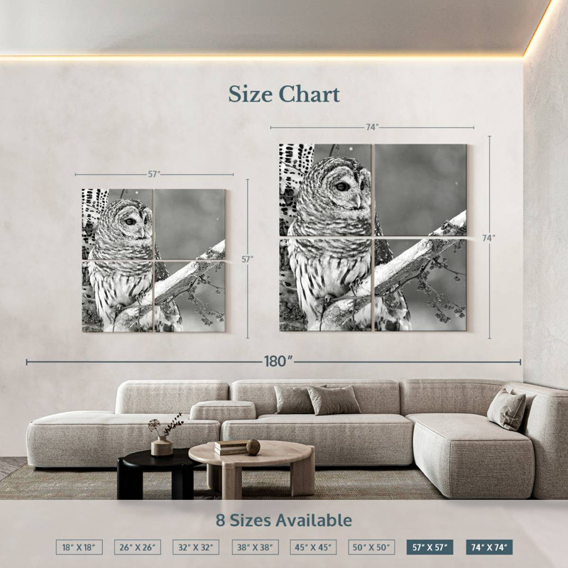 Hibou blanc Brampt BW