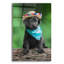 «Black Lab Pup 6» par Jonathan Ross-313399570