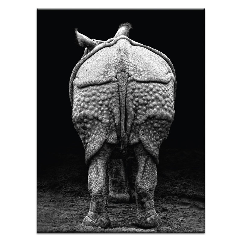 Photographers Lane - Wrapped Canvas Print, 51cm H x 41cm W