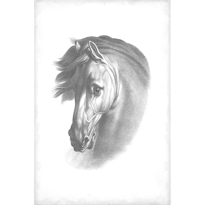 Plan d'équitation I, H 48 po x l 32 po x P 1,25 po