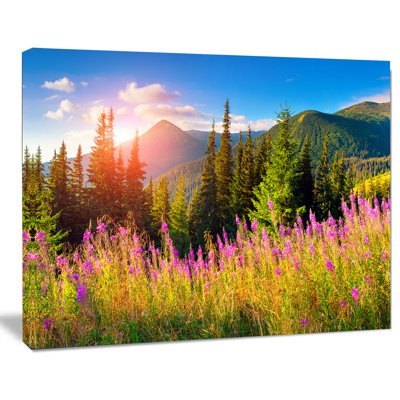 " Mountains With Pink Flowers "