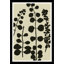 Branches Print by Susan Hable