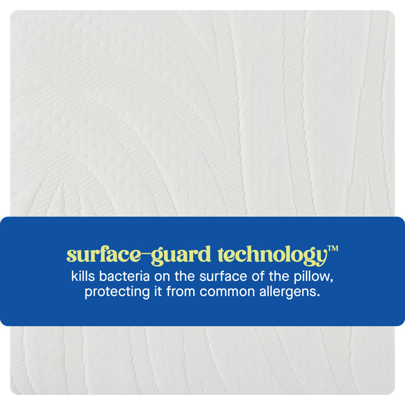 Sealy Dreamlife Standard White Memory Foam Bed Pillow