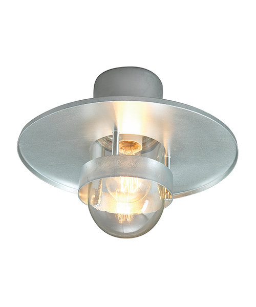 Bergen Outdoor Lighting, Clear, Galvanised