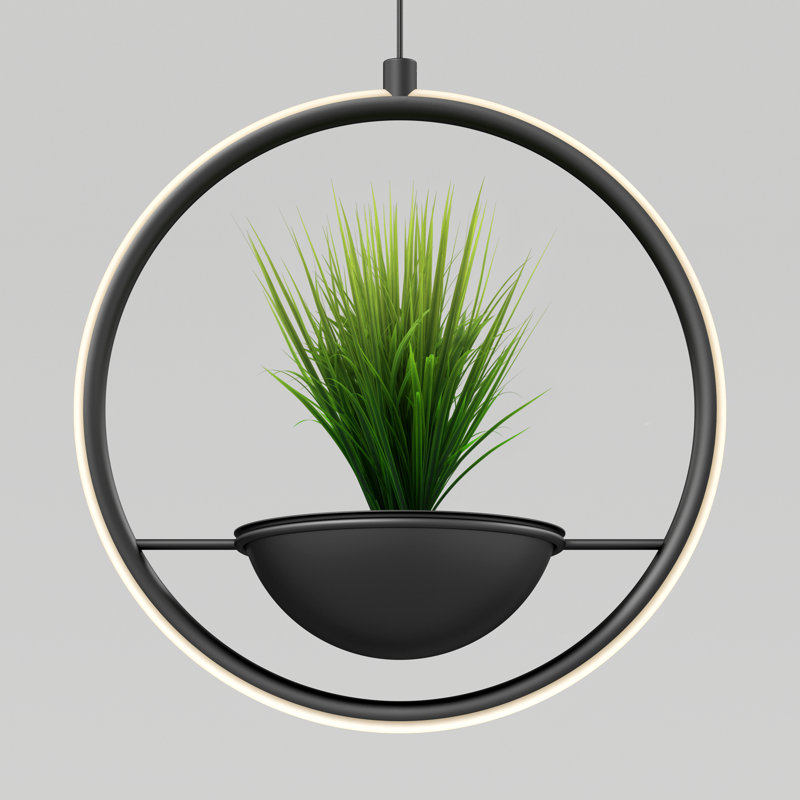 Wrought Studio™ Litta Modern Planter and Pendant light, Matte black