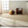 Jackson Indoor Rug