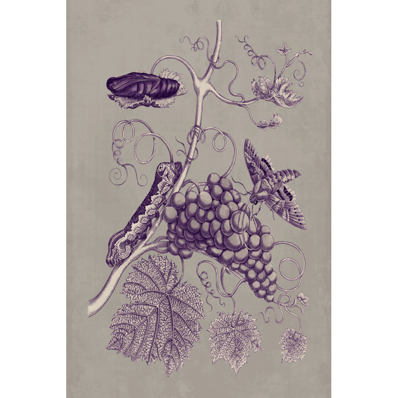 Nature Study In Plum & Taupe III - Wrapped Canvas Print, 122cm H x 81cm W