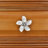 Plumeria medium knob-39948783-104672779-126755984