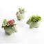Lala Planter