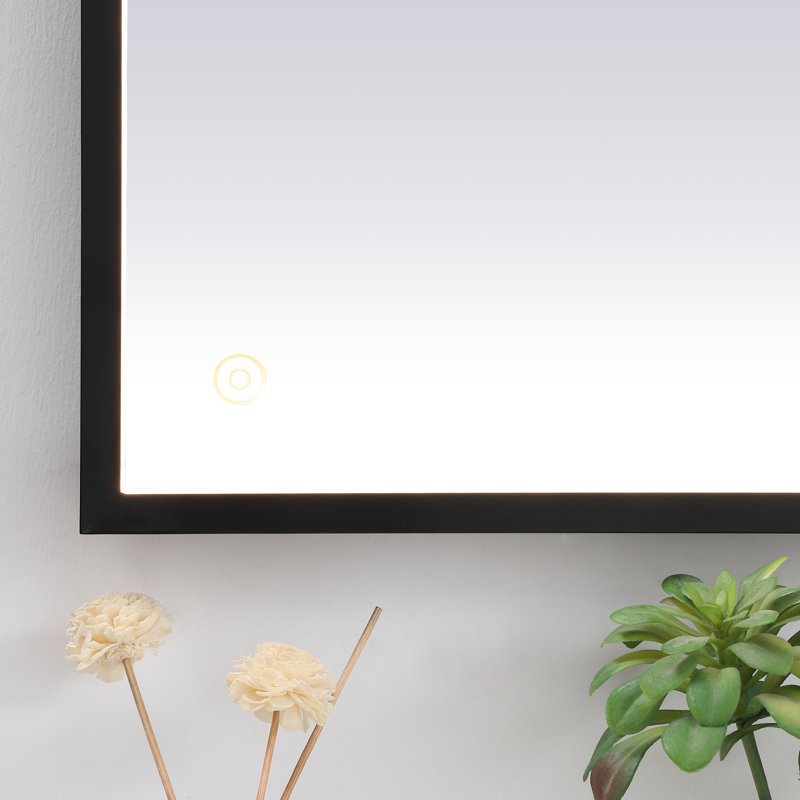 Miroir Piche, 30 po x 72 po, Noir